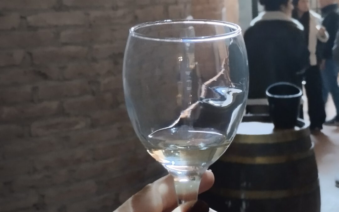 ROXANA Y SU DIA DE BODEGAS